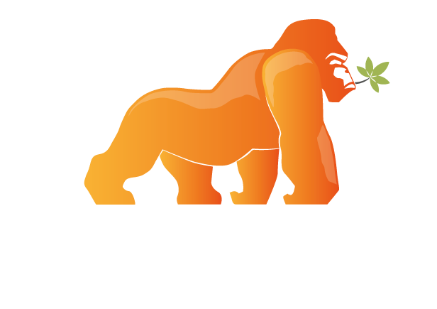 Mad Gorillas Logo