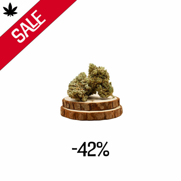b52_cbd_blüte_sale