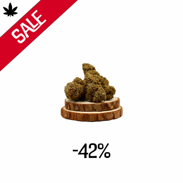 biscotti_cbd_blüte_sale